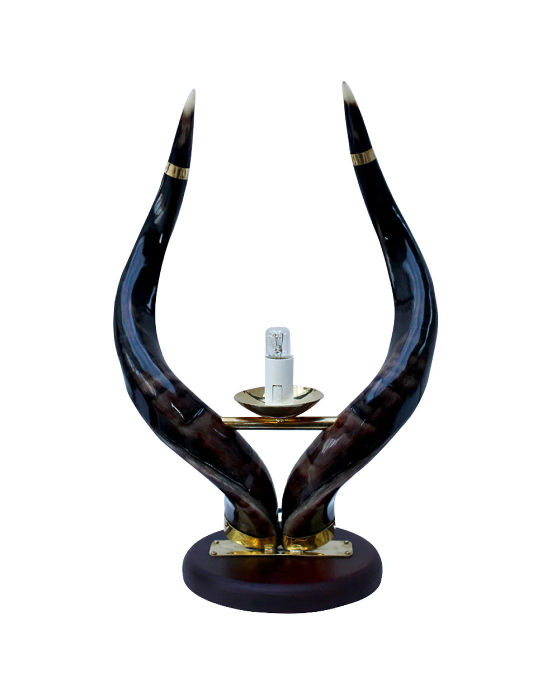 Authentic kudu horn ostrich egg lamp stand