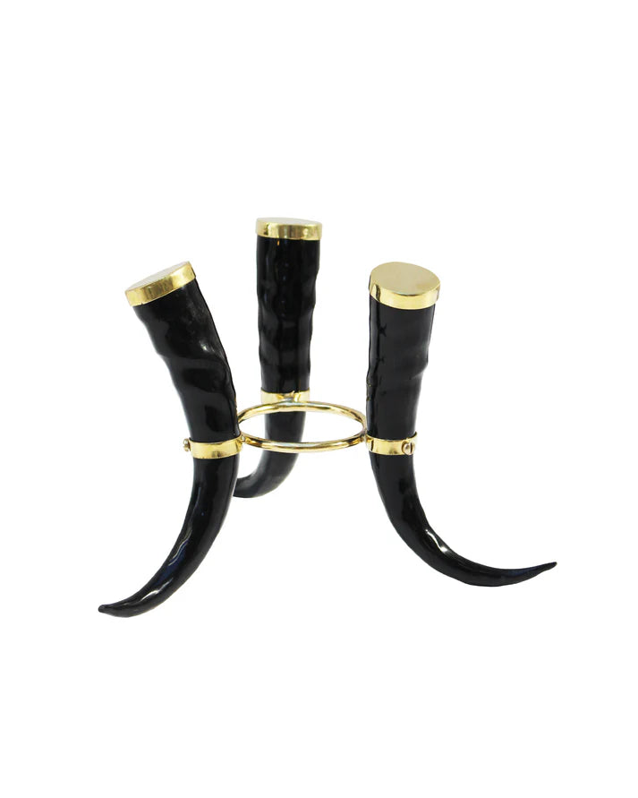 Classic springbok horn stand