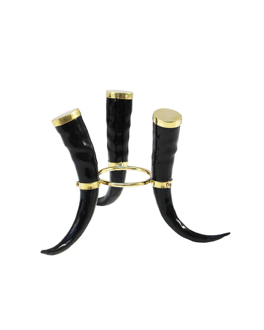 Classic springbok horn stand